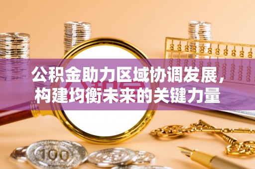 阳江公积金助力区域协调发展，构建均衡未来的关键力量