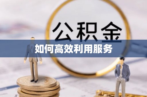 阳江如何高效利用服务