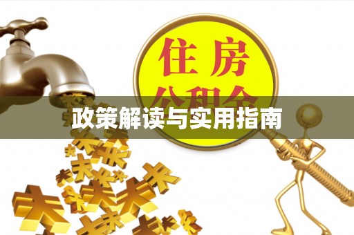阳江政策解读与实用指南