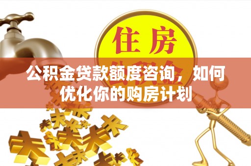 阳江公积金贷款额度咨询，如何优化你的购房计划