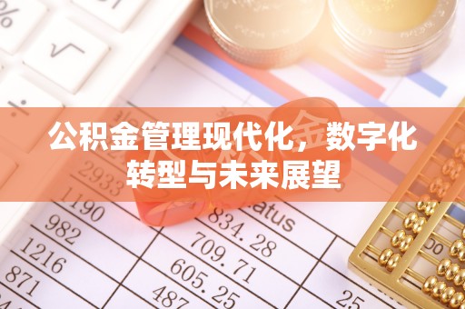 阳江公积金管理现代化，数字化转型与未来展望