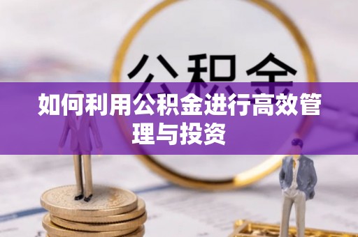 阳江如何利用公积金进行高效管理与投资
