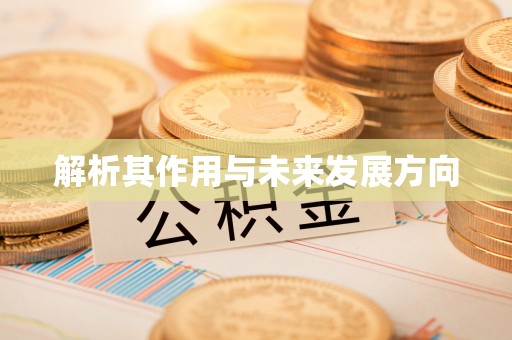 阳江解析其作用与未来发展方向
